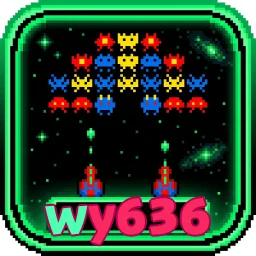wy636